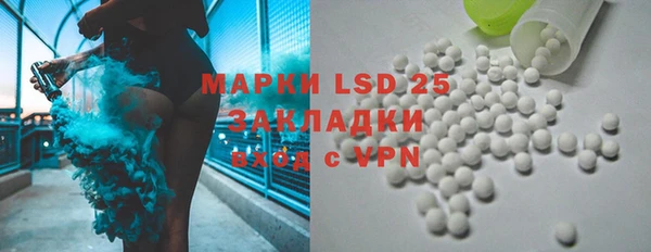 PSILOCYBIN Бородино