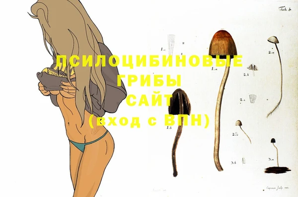 ECSTASY Бугульма