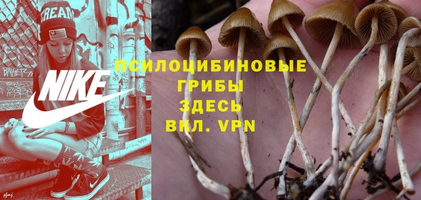 прущая мука Бронницы