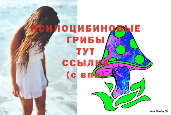 прущая мука Бронницы